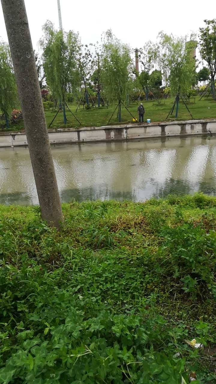 秦南东大桥北无名野河