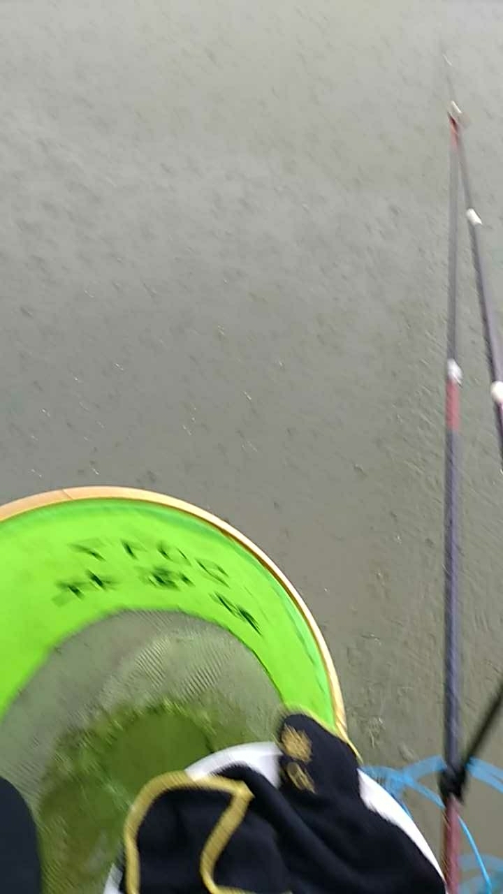 太平湖曙光老爷垂钓