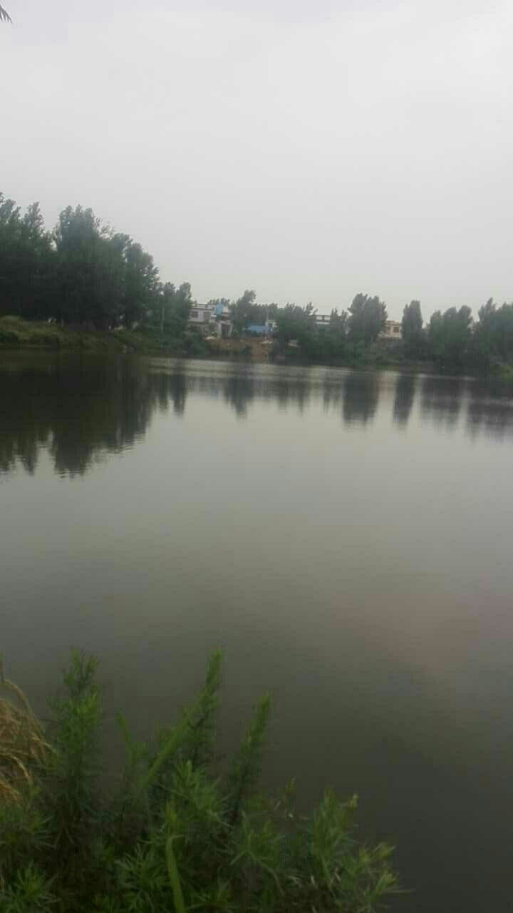 大河屯四家陈村水坝