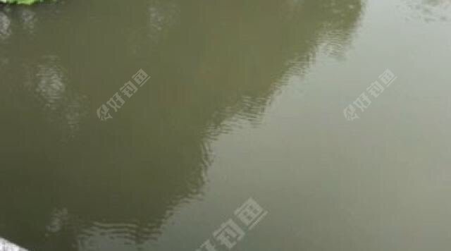 大红鹰学院旁野河