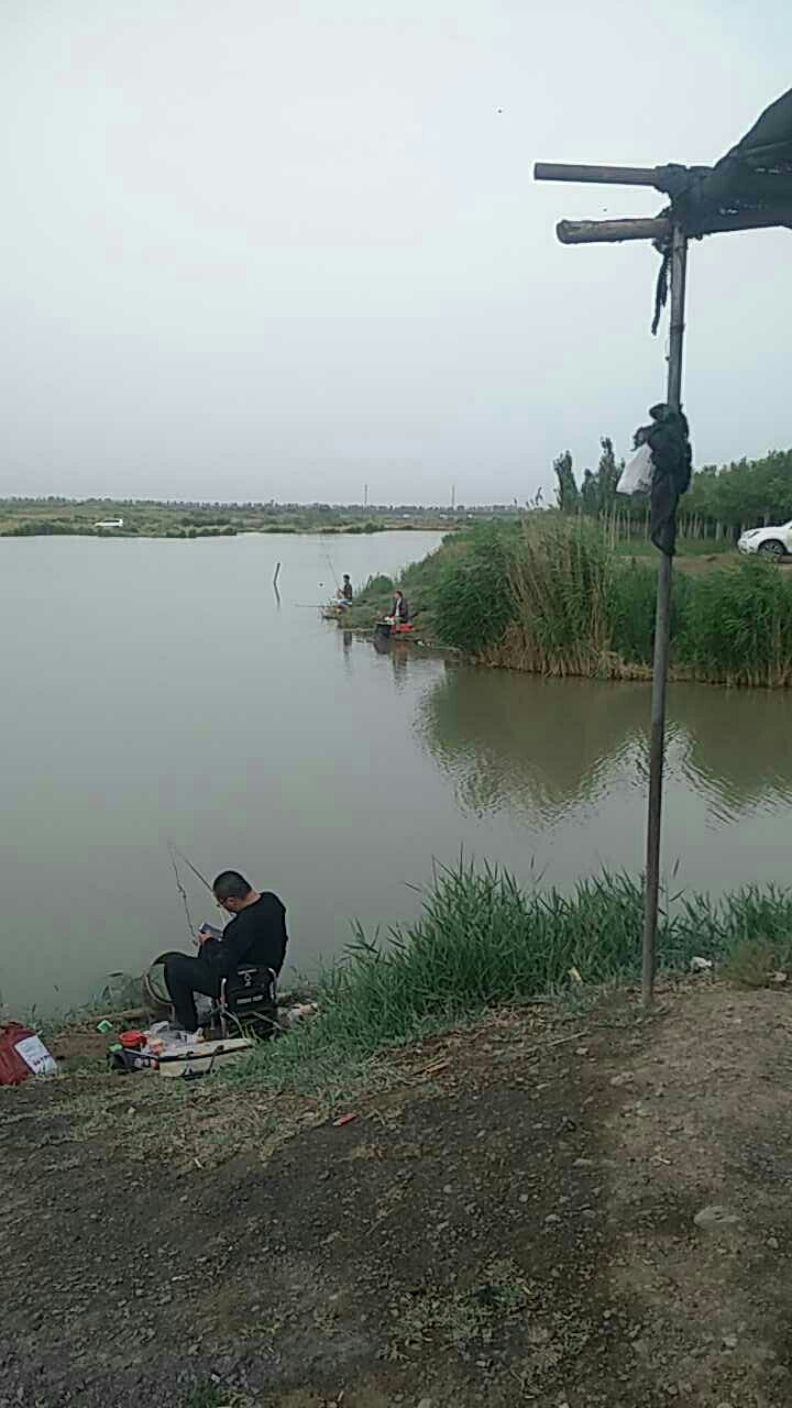 阅海九号湖野生垂钓