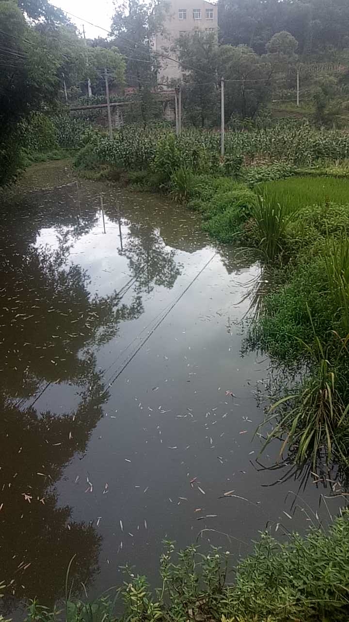 双石邹家祠堂小河