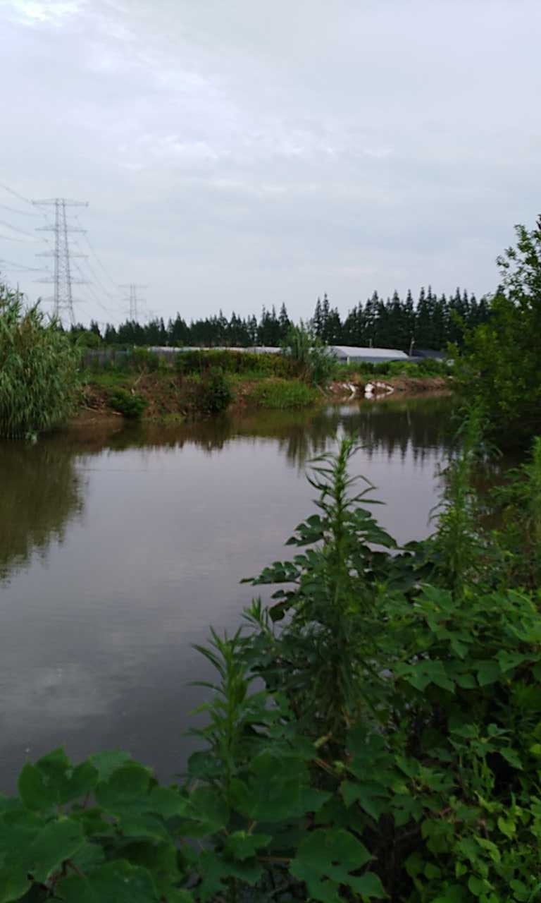 外青松公路六号桥北面