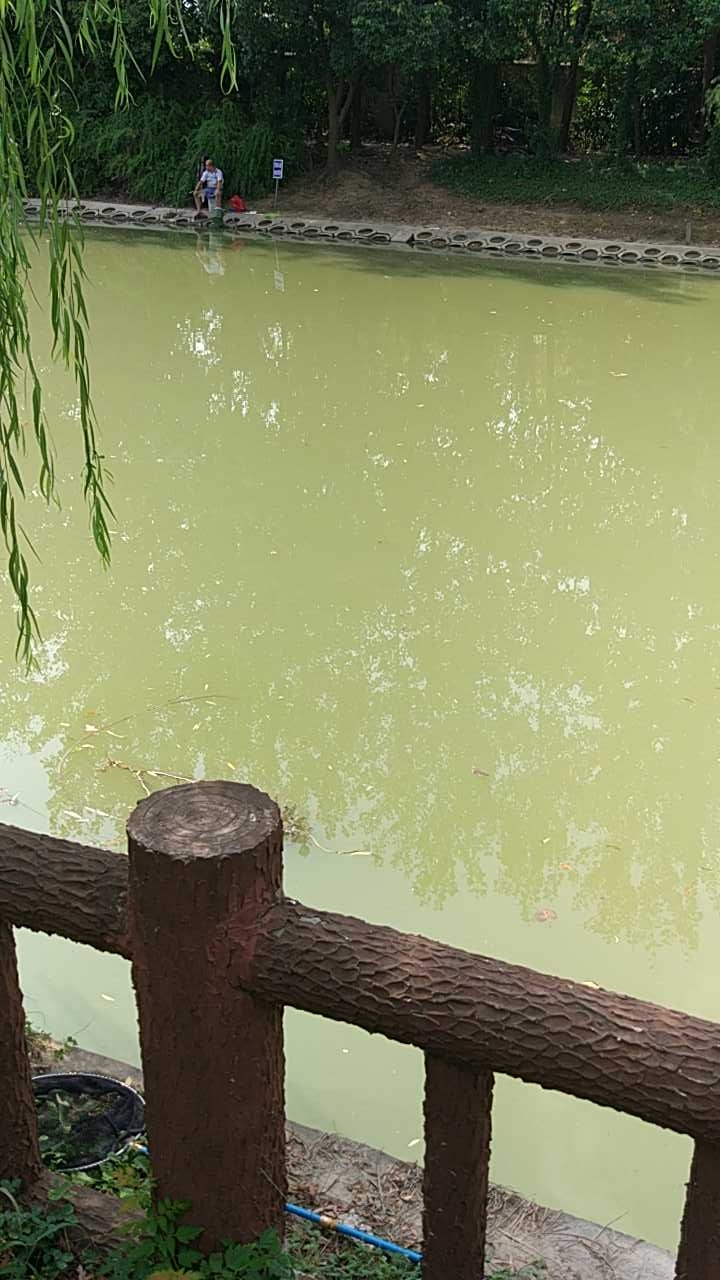 张家浜共和桥路