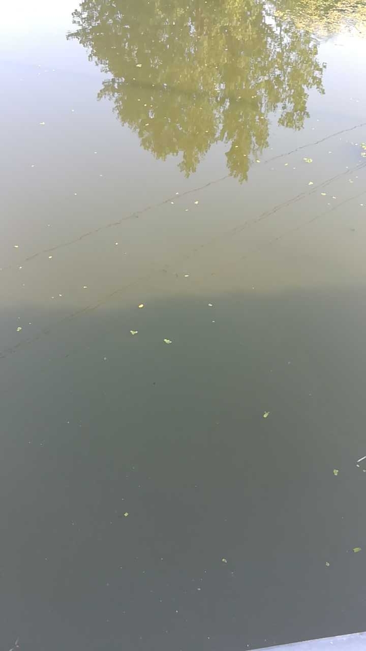 南蒋村兴成大桥