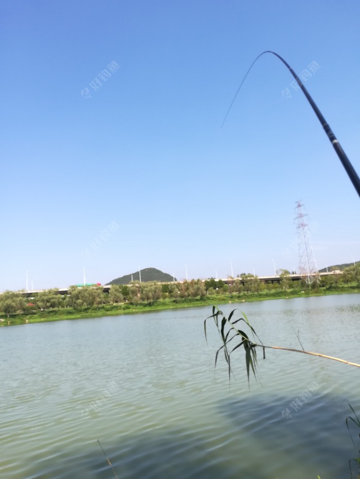 弯弓漂亮啊
