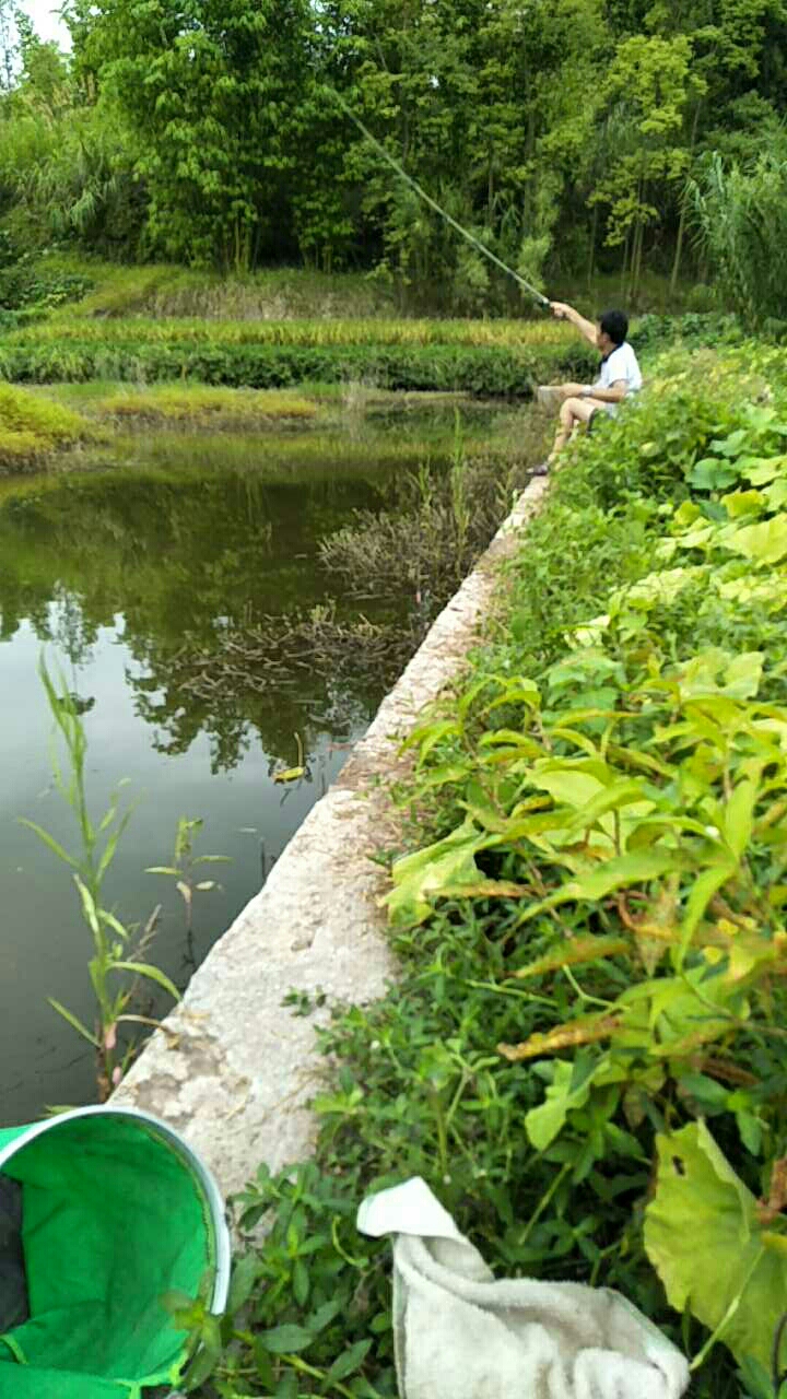 国梁十三村二队水库