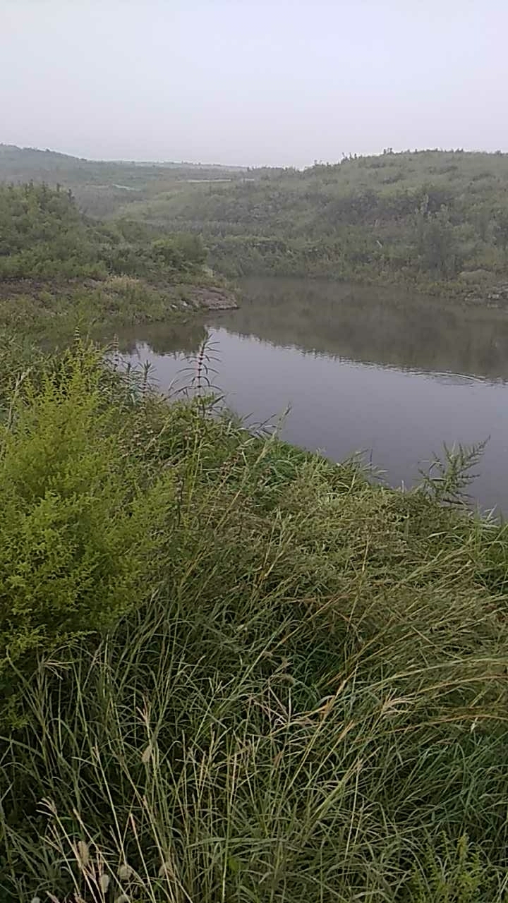 南小平休闲垂钓