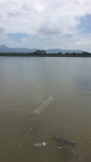 青口三祥加气砖厂边