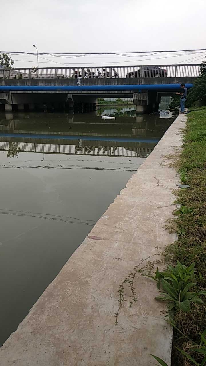 龙东大道，小白路路口野塘