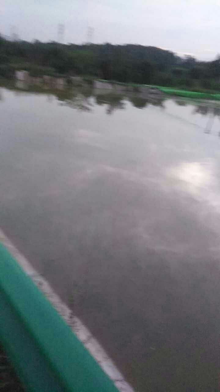 金望生态家庭农场