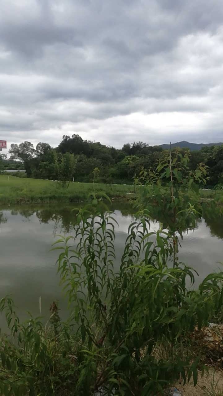 聚龙采摘园休闲钓场