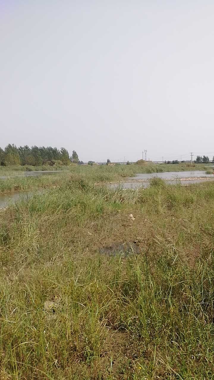 冯村南大桥下面