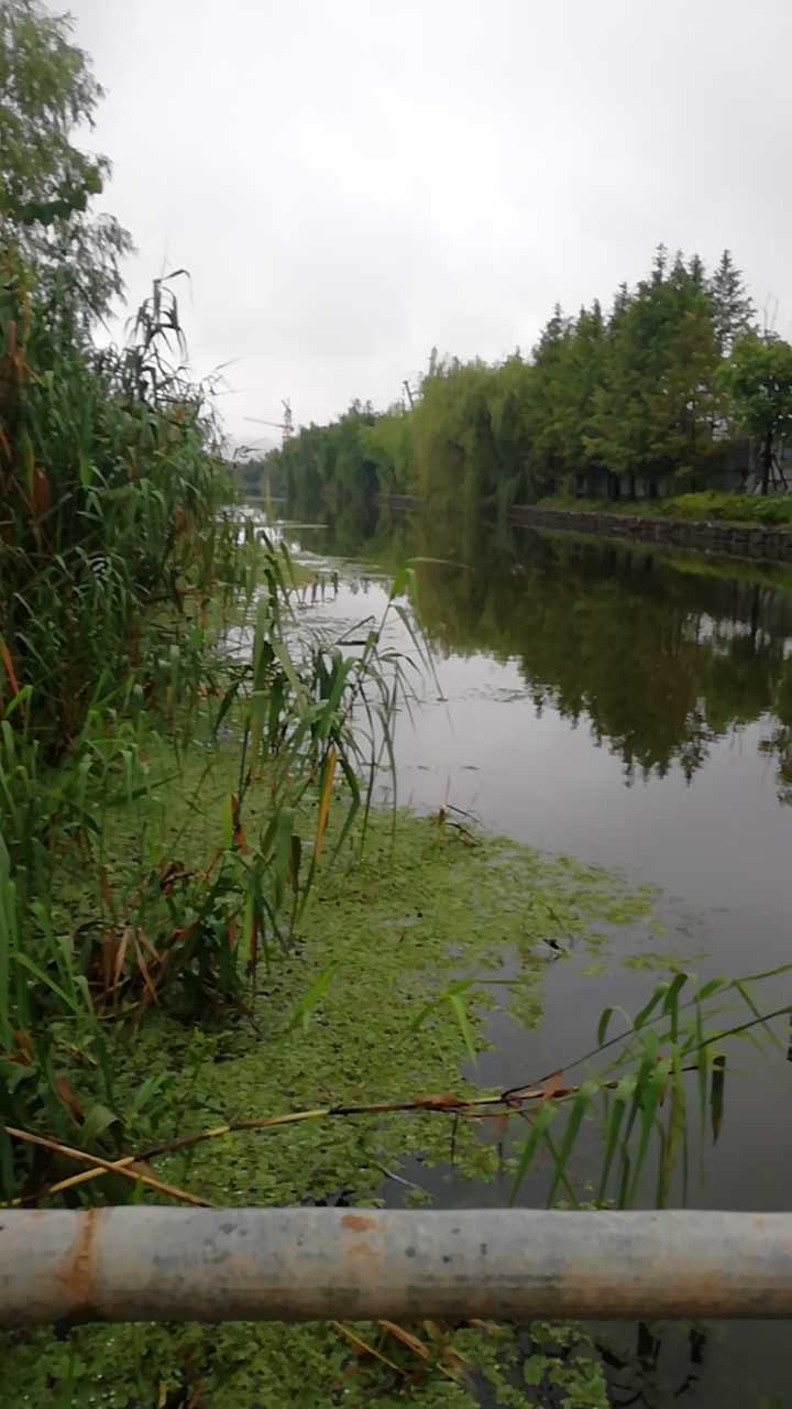 江心洲河道