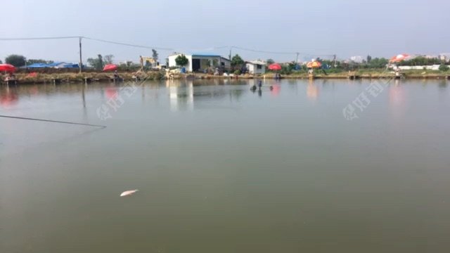 何锐明峰钓鱼场