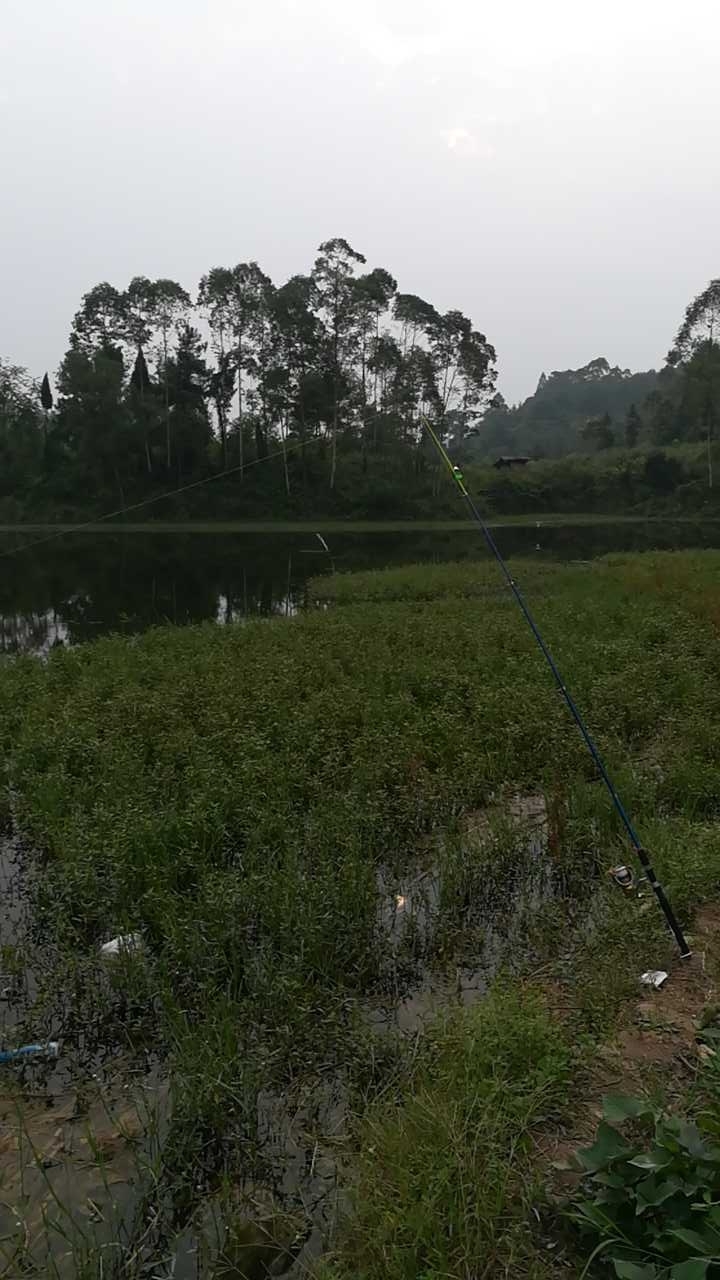 仁寿县汪洋革命水库