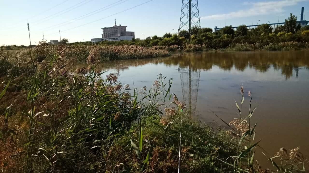 天江公寓南侧中水明渠