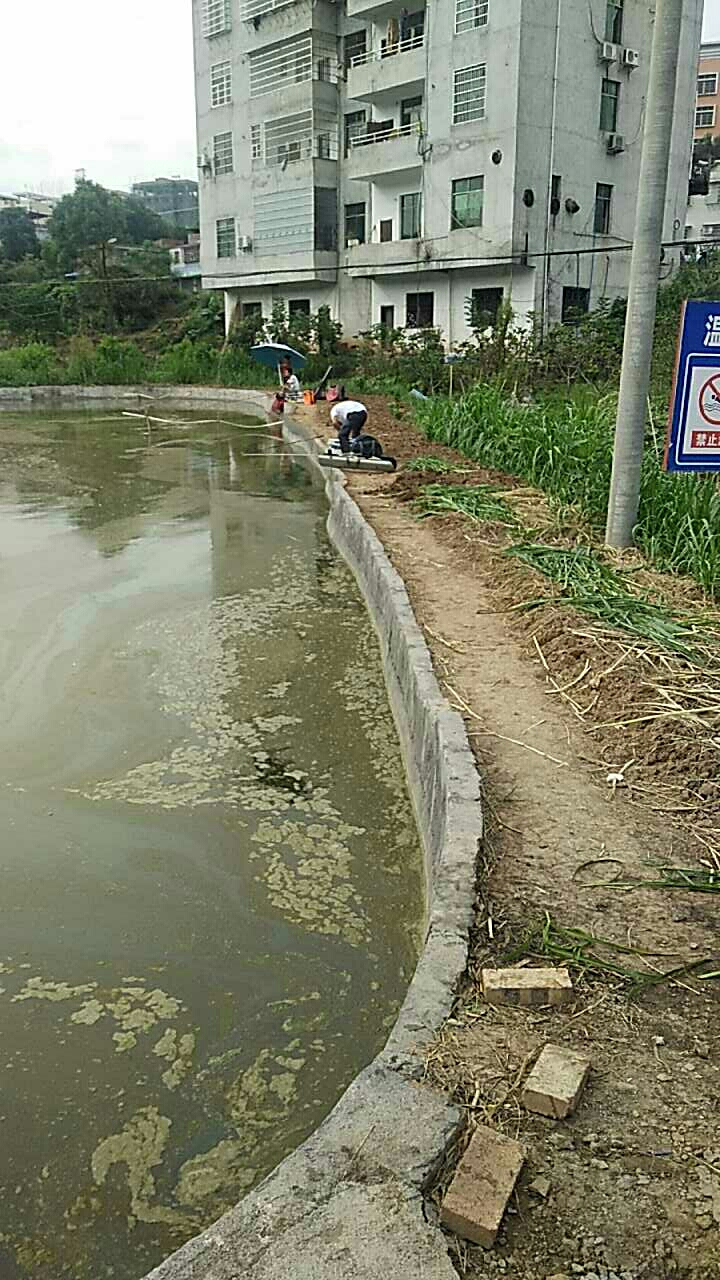 坪石河西乡巴老钓鱼场