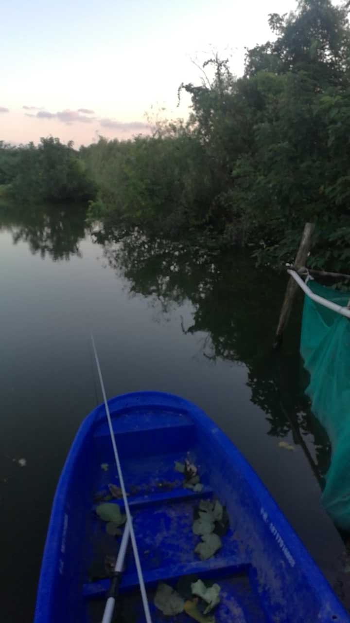 柘林镇胡桥迎龙村329号
