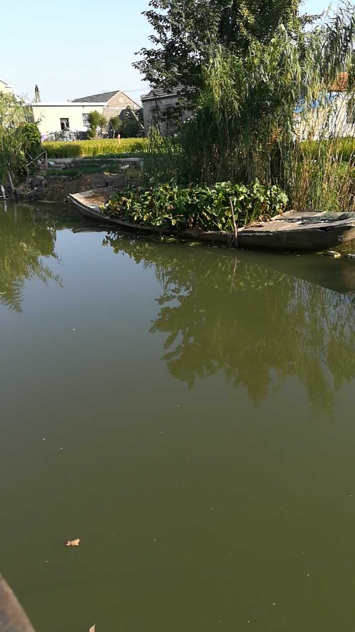 秦南美伦纱业南边溪流