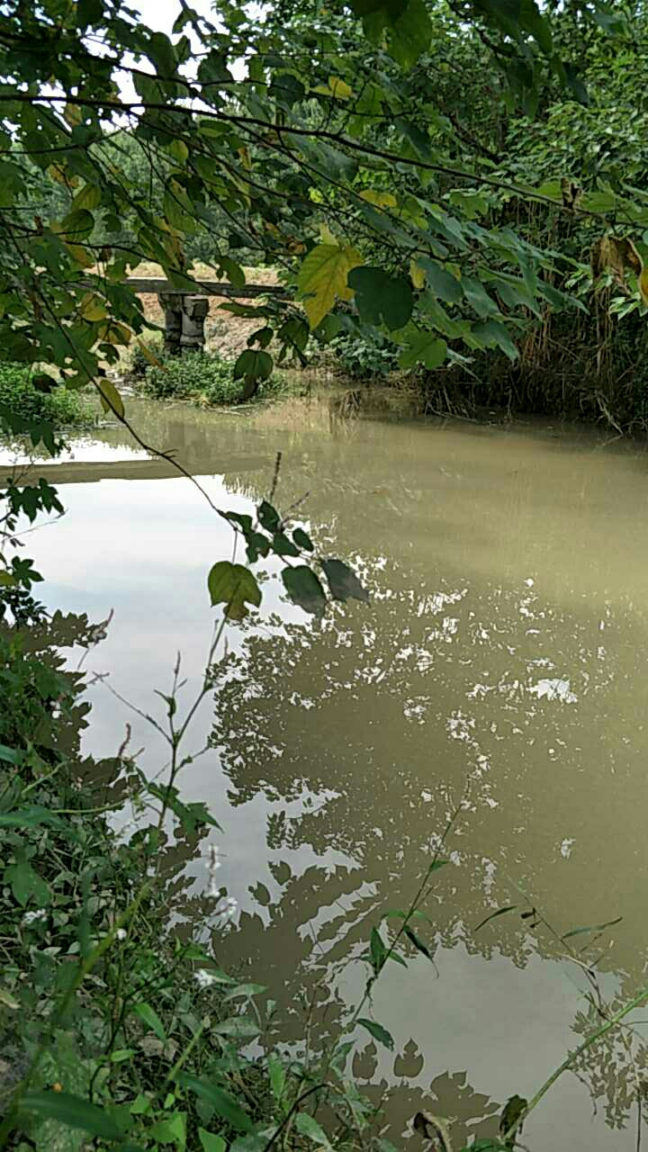 建淮农田灌溉河