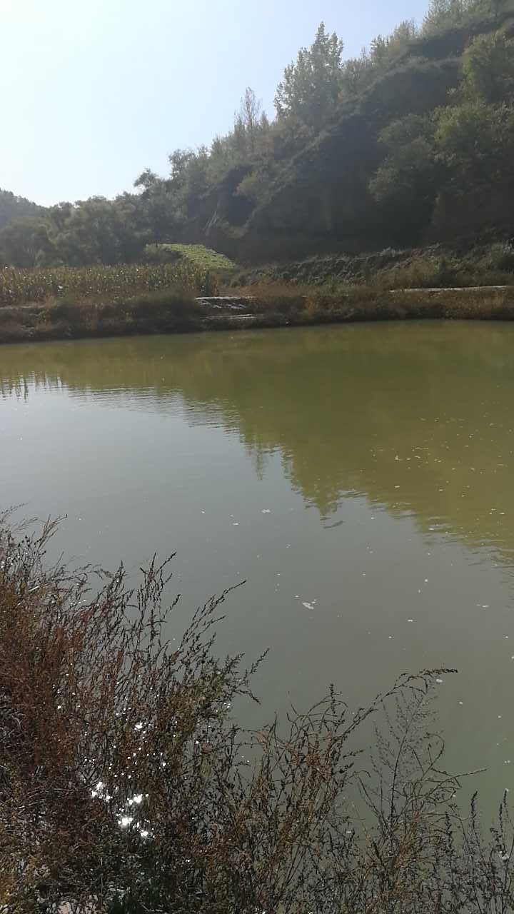 永和午门钓场