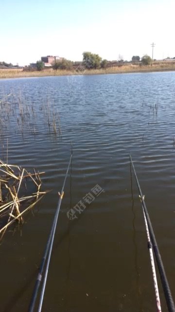 梨树小六队南大坑