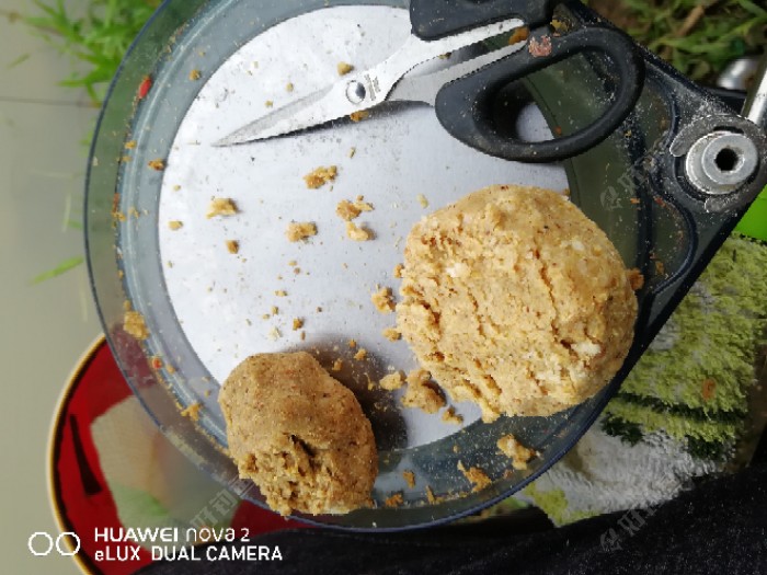 小牛试刀，自制饵料还是可以钓鱼的