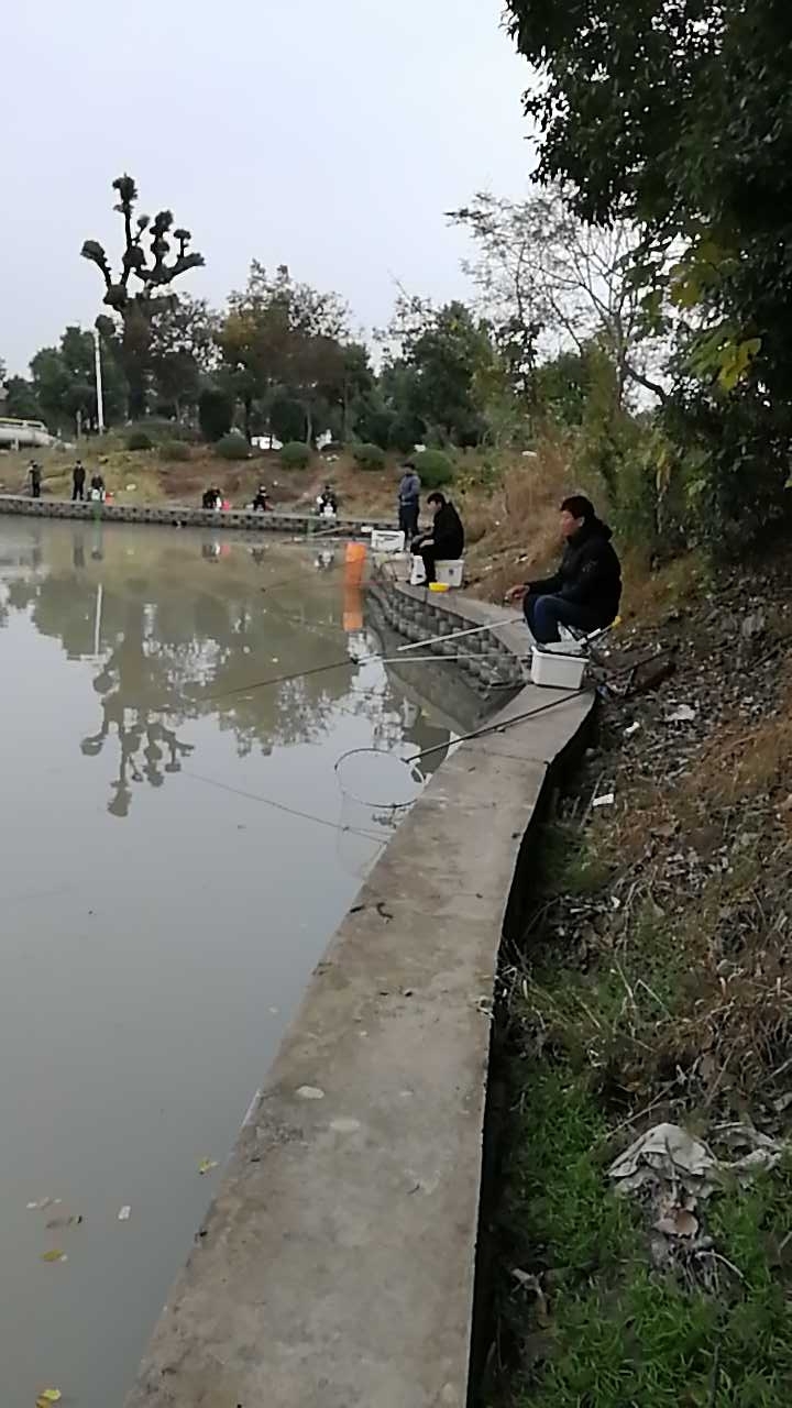 嘉桐公路口野河