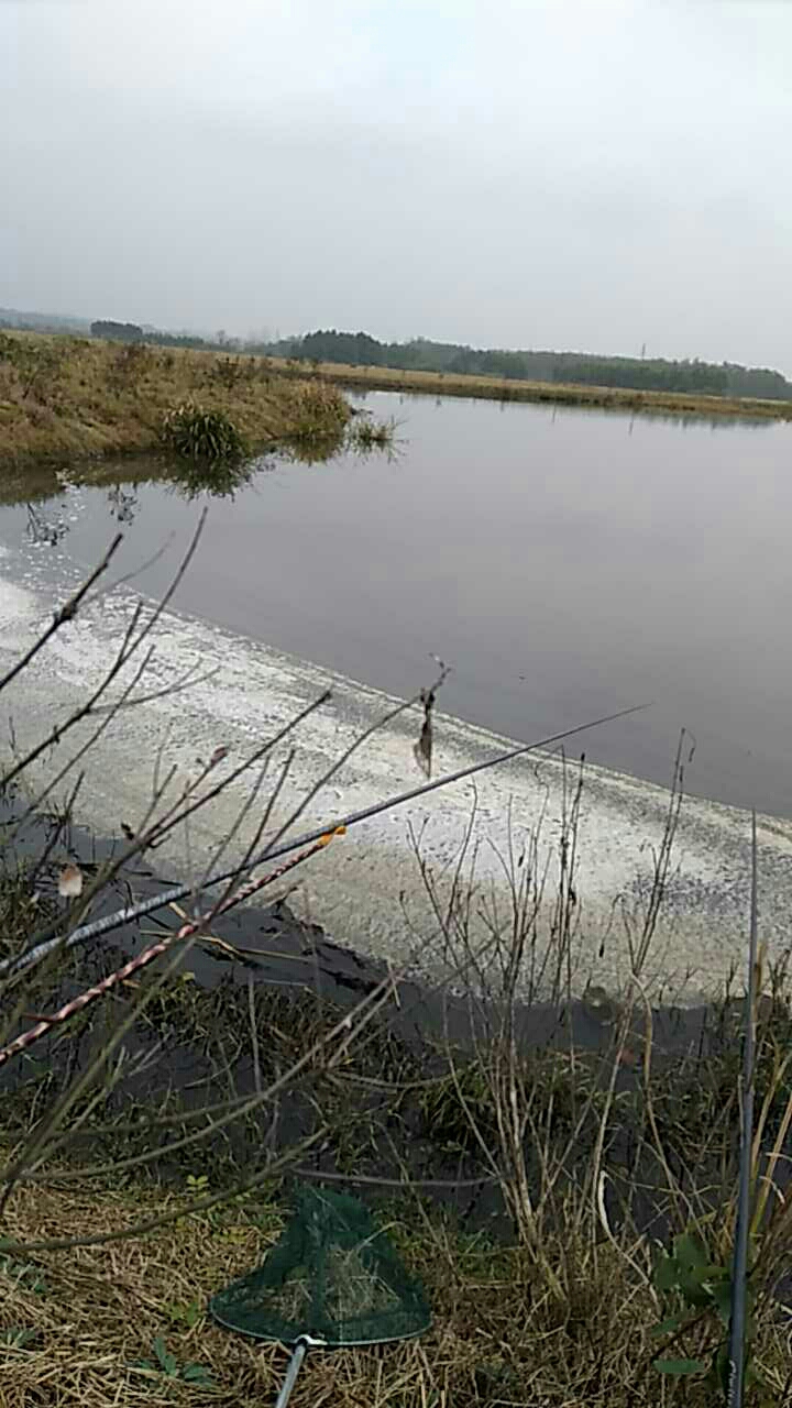 三里镇河西村野塘