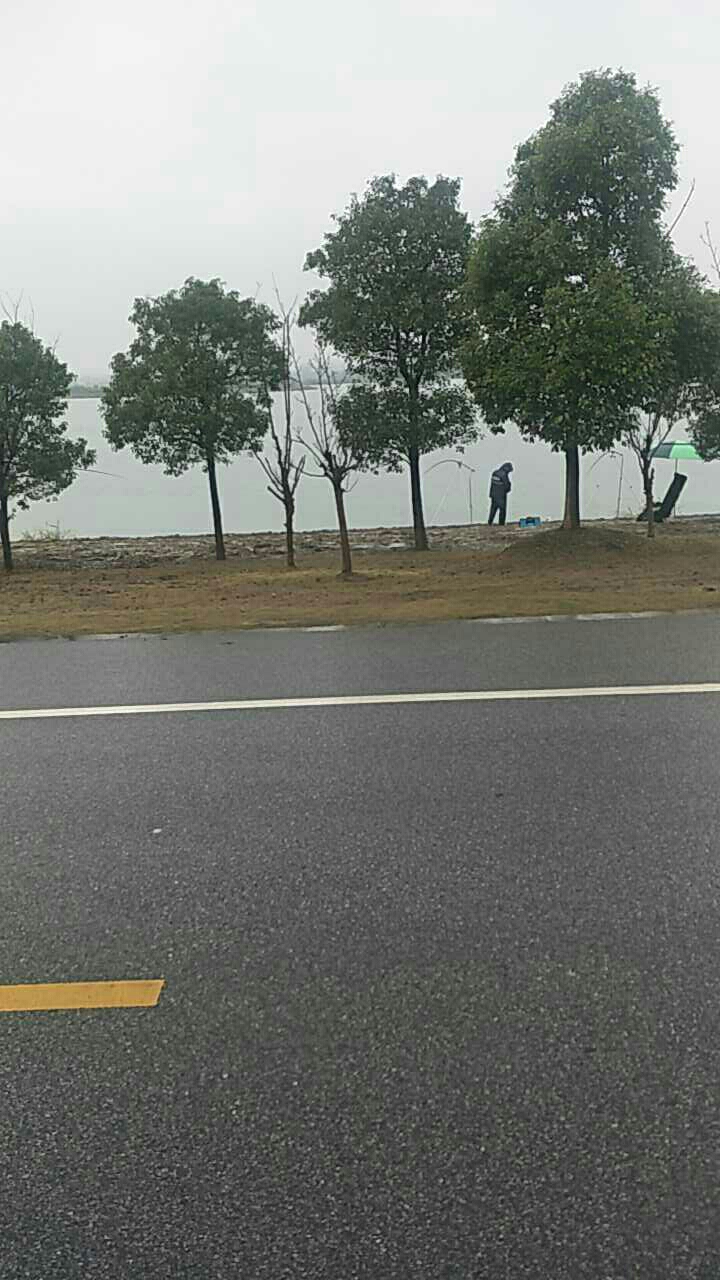 周庄大桥路，人工湖