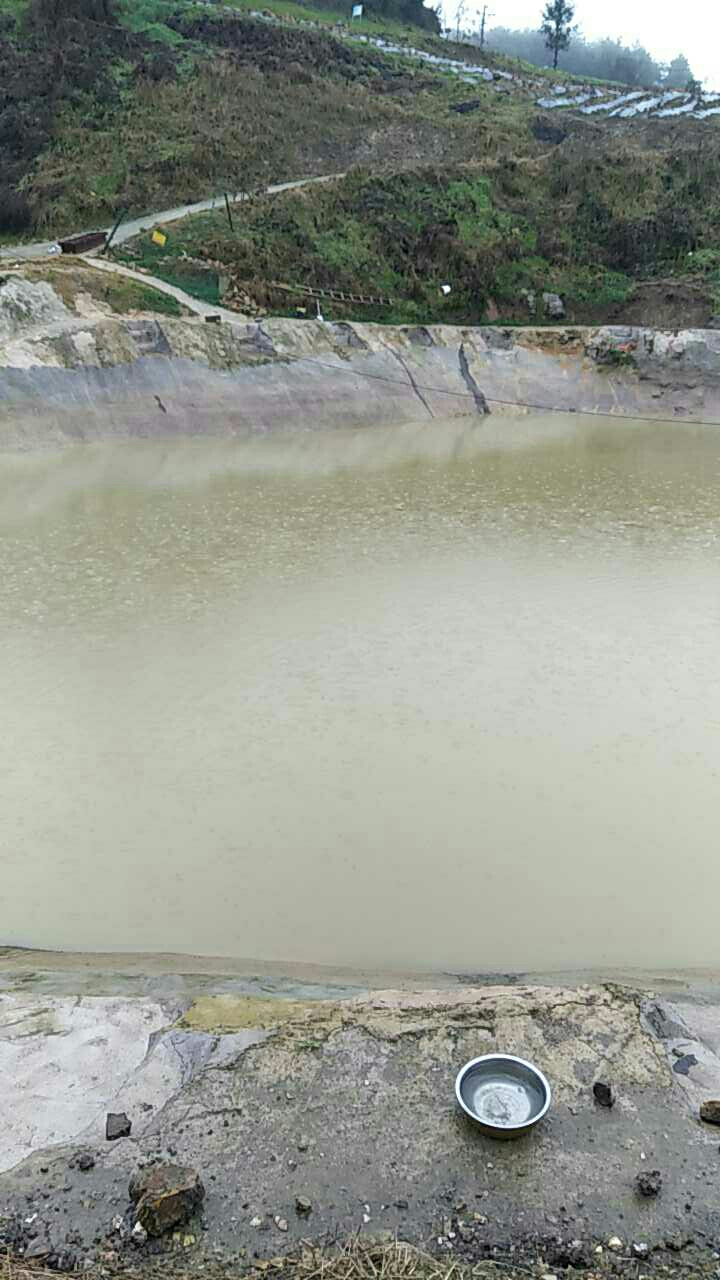 双流半边山玫瑰园钓鱼塘