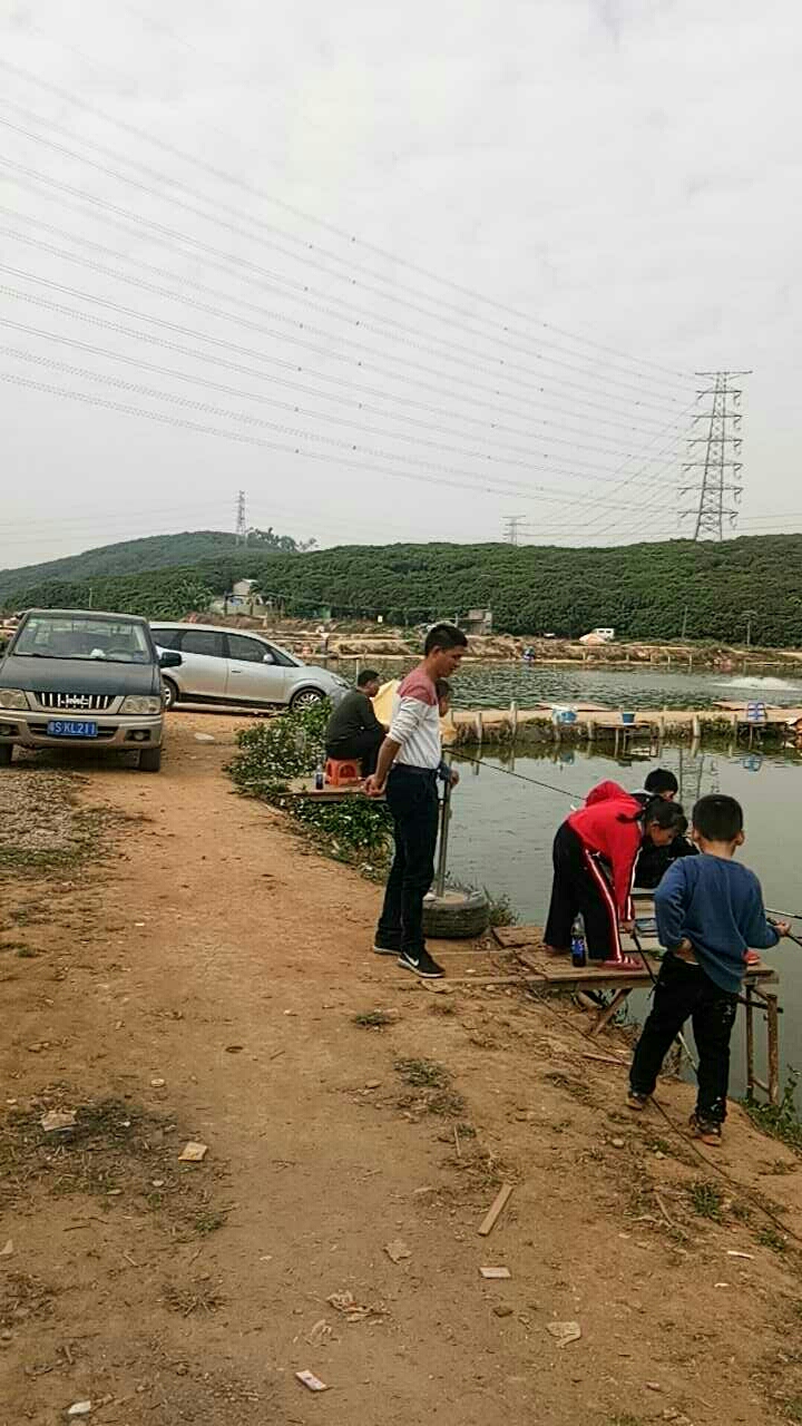 绿色农庄钓鱼场