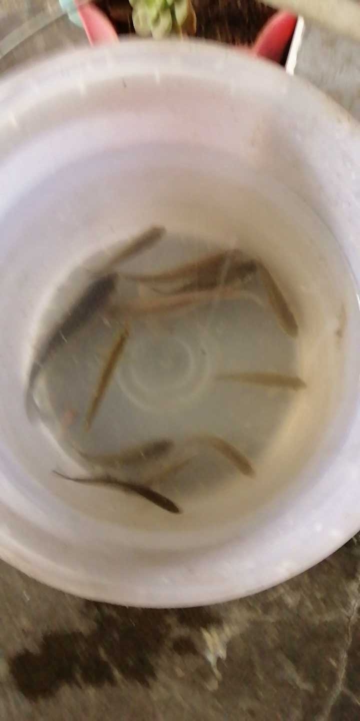 德州化肥厂东西河