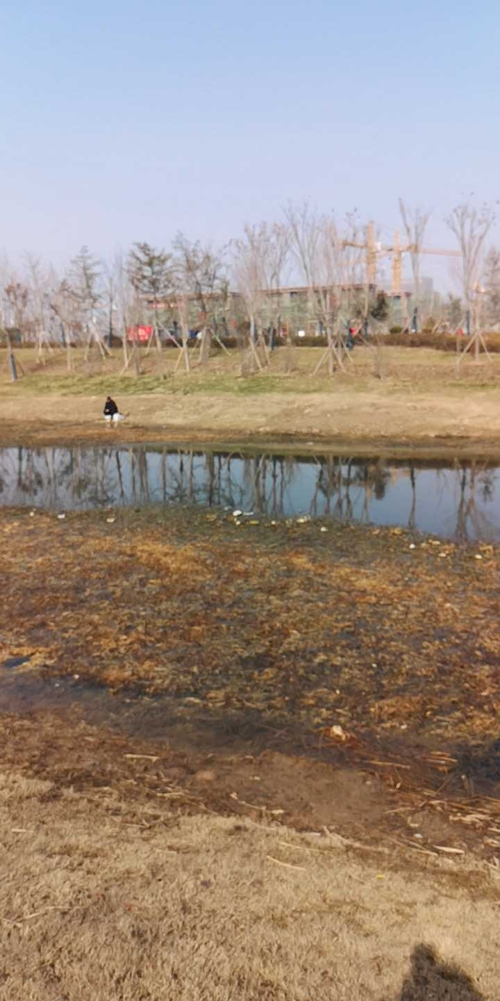 睢宁公园南侧小河