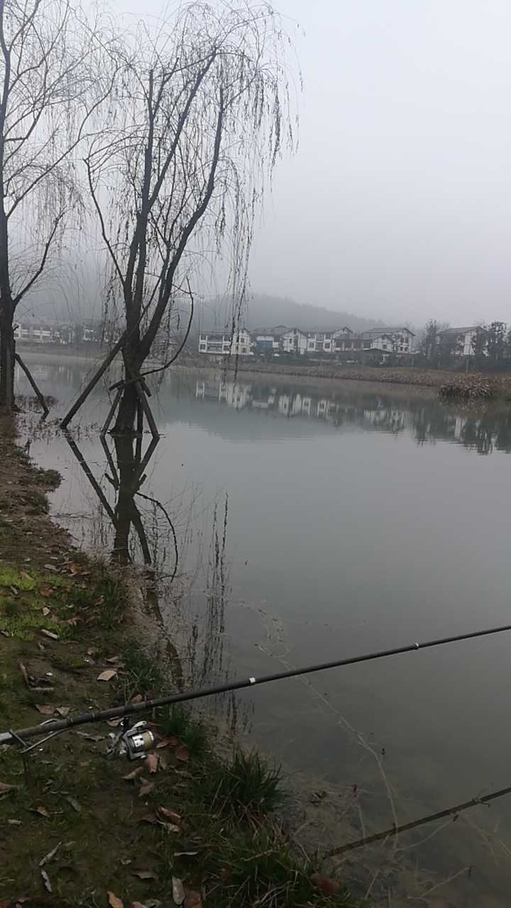 百灵湖湿地公园