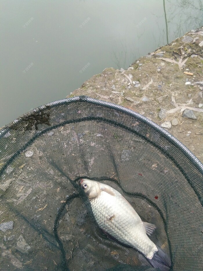 钓鱼人就这样没口的时候吧，