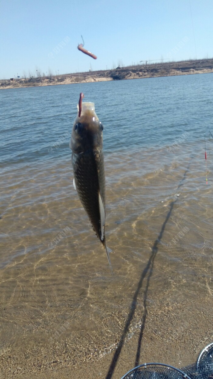 IMG_20190312_113959.jpeg