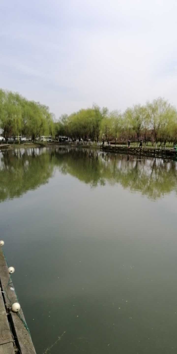 樱花岛路亚基地