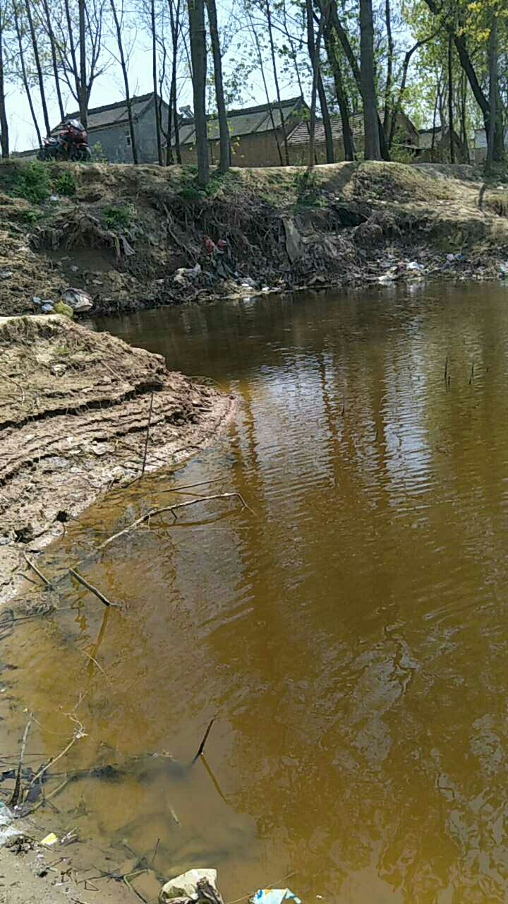 纸纺村惠济河支流