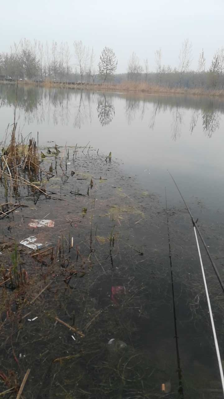 四方湖水库入水口