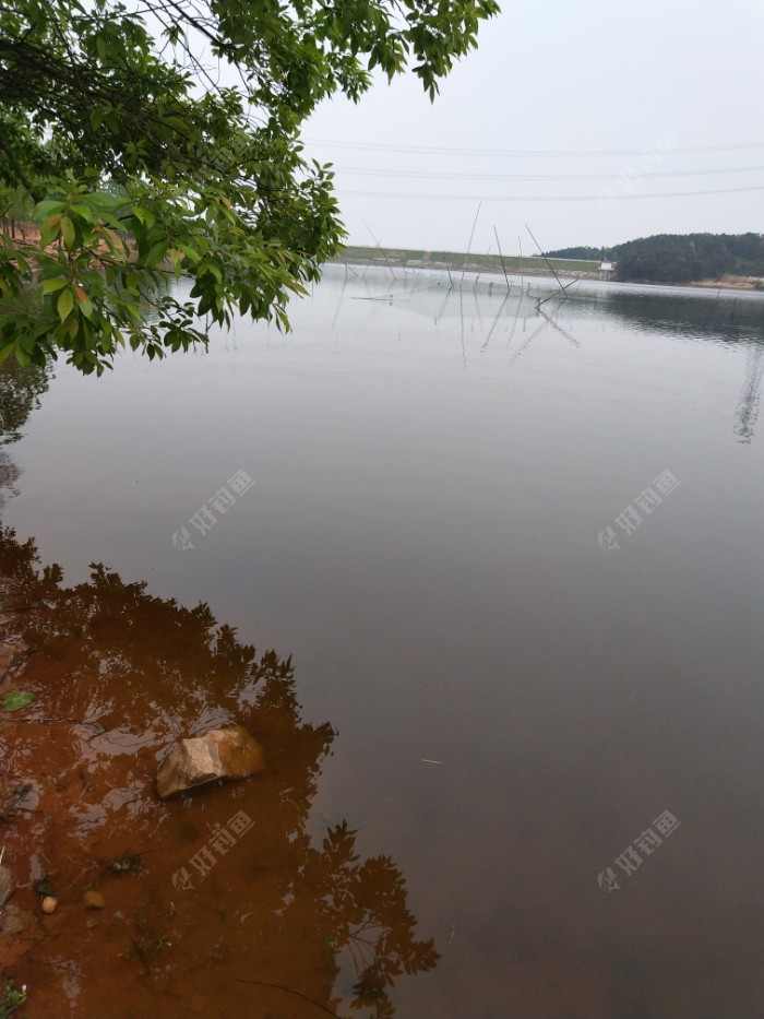 牛B红米打窝，先挂红虫作钓.