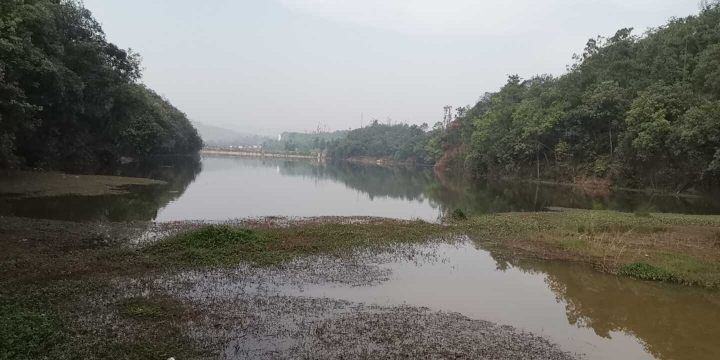 石花水坝