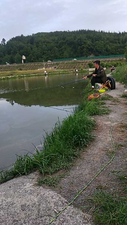 贵州省贵阳市清镇市卫城镇