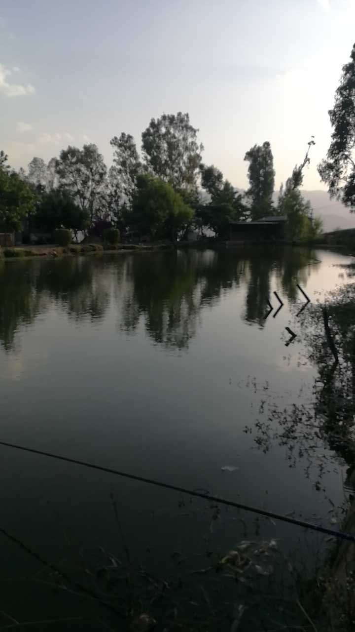 山头厂休闲渔塘