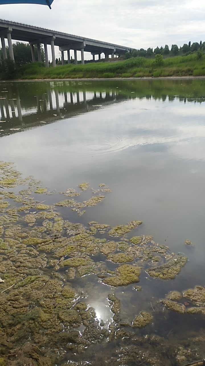 苏北灌溉渠盐徐高速大桥