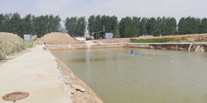 白寺郭洼垂钓园