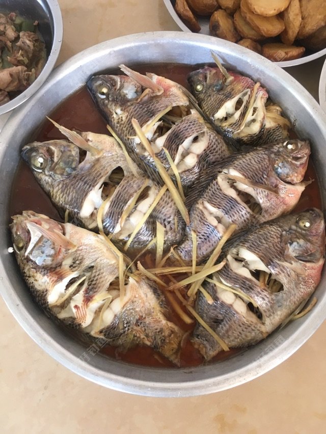 中午的清蒸罗非鱼镇贴！