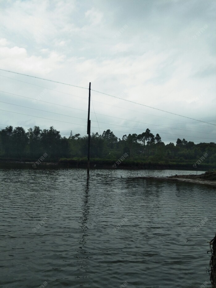 天空又开始变化莫测了！看漂都成问题了，