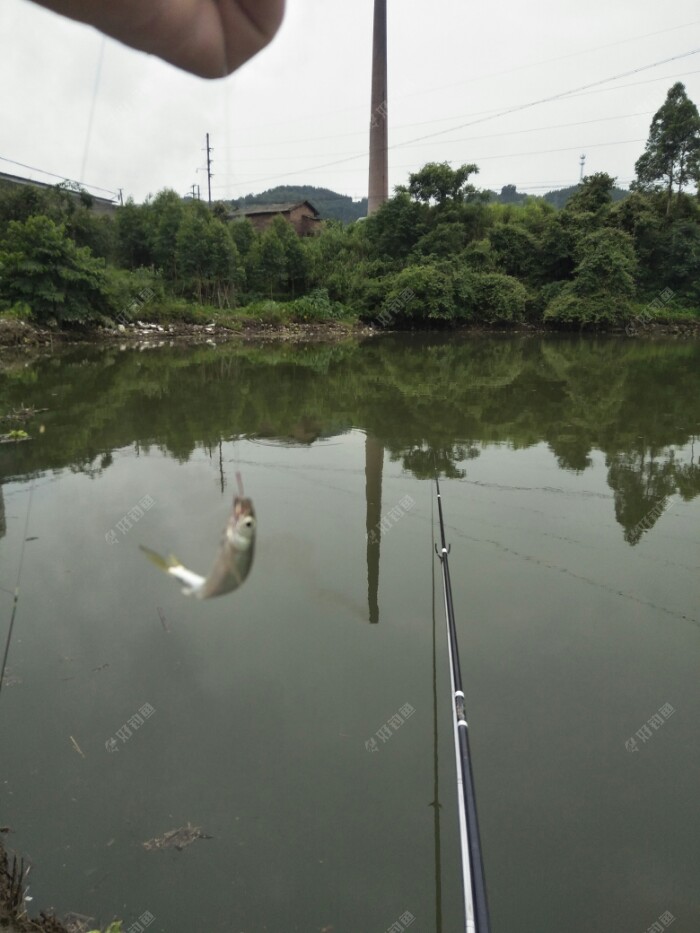 此时风平浪尽，看漂清晰，一